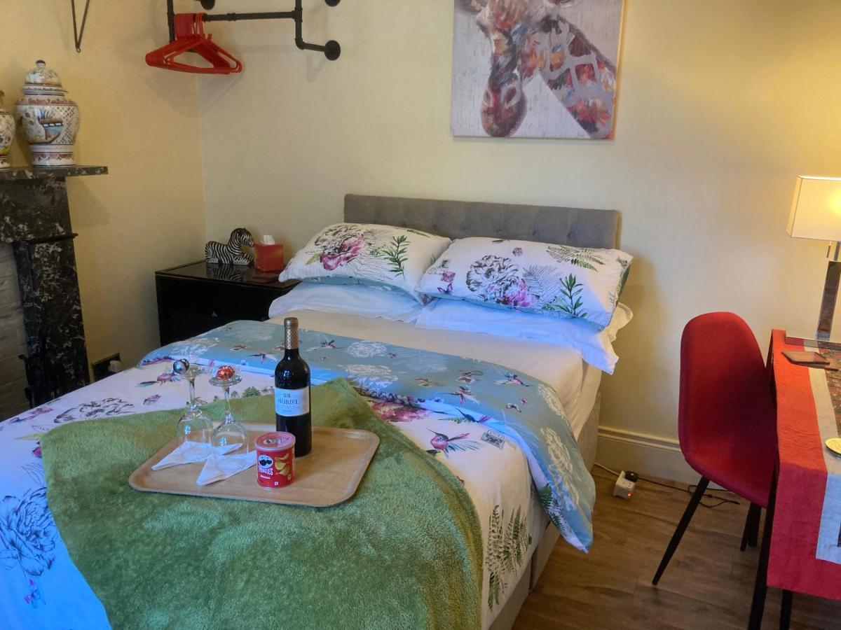 Mountroyal Victorian Studio Self Catering Apartment 3 Belfast Exterior photo